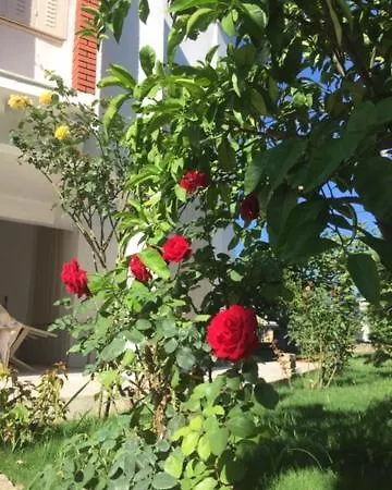 게스트하우스 Suleyman Sargin Sitesi