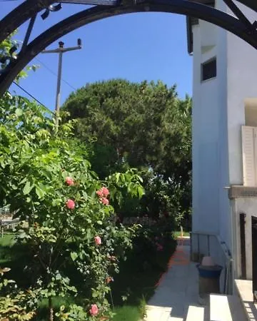 Suleyman Sargin Sitesi * 쿠사다시